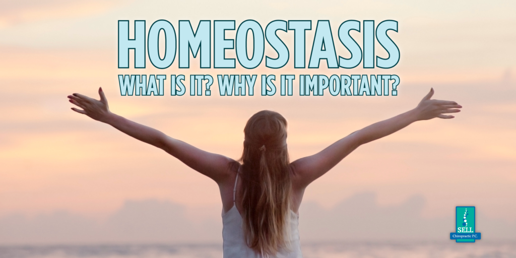 Homeostasis – What is it? Why is it important?